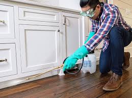 Best Pest Control for Multi-Family Homes  in Olathe, KS