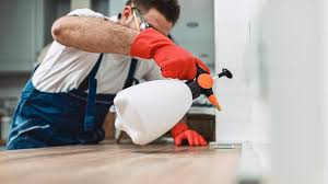 Best Pest Prevention Services  in Olathe, KS